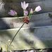 Heather Salter - Facebook