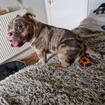 Heather Duncan - @heather.samson.796 - Instagram