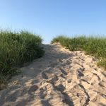 Heather Samuelson - @wilburlovesjellybean - Instagram