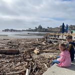 Heather Samuelson - @hdsamuelson - Instagram