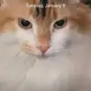Heather Santucci588 - @heathersantucci58 - TikTok