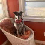 Heather Sargent - @sargent3553 - Instagram