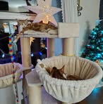 Heather Sartain - Facebook