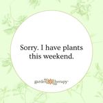Heather Holliday Sauer - @heather.sauer.12 - Instagram