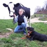 Heather Scanlan Steinbach - @heathersteinbach - Instagram
