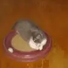 Heather Schaffer - @heather.schaffer4 - TikTok