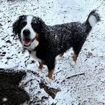 Heather Schaffer - @trailmouse - Instagram