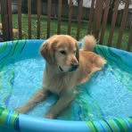 Heather Schoenfeldt - Facebook