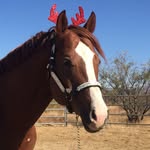 Heather Schoffstall - @hrschoffstall - Instagram