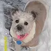 heather_schofield1 - @heather_schofield - TikTok