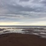 Heather Schofield - @heathermschofield - Instagram
