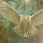 heather schofield - @schofield.1959 - Instagram