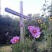 Heather Schultz - Facebook
