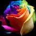 Heather Schutz - Facebook