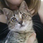 Heather Scribner - @theretrominecrafter - Instagram