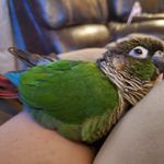 Heather Seabolt - @heather.seabolt.98 - Instagram