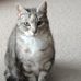 Heather Semple - Facebook