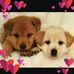 Heather Sennon - Facebook