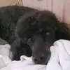 Heather Moser - @heather.moser - TikTok