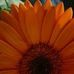 Heather Shears - Facebook
