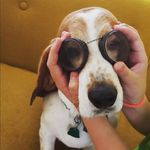 @heather_shehan - Instagram