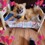 Heather Shilling - @shillingheather - Instagram