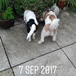 Heather Simmonds - @heather.simmonds.10 - Instagram