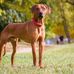 Heather Simonson - Facebook