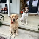 Heather Sowers - @heather.sowers.526 - Instagram
