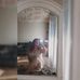 Heather Spielman - Facebook