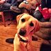 Heather Spriggs - Facebook