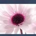 Heather Staats - Facebook