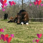 heather_stacey_ - @heather_stacey_ - Instagram