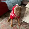 heatherstancil95 - @heatherstancil95 - TikTok