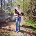 Veronica Heather Stancil - @majesticlittlemare - Instagram