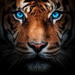 Heather Stepp - @stepp8786 - Instagram