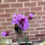 Heather Stock - @trugandmoonyoga - Instagram