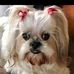 Heather Houlihan Stockman - Facebook