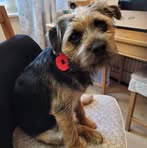Heather Strachan - Facebook
