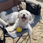 Heather Strange - @heather.strange.946 - Instagram