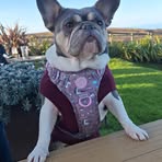 Heather Thatcher - Facebook