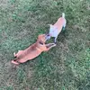 heatherthatcher5 - @heatherthatcher5 - TikTok
