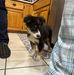 Heather Balch Thibault - Facebook