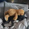 heatherthibault4 - @ht3647 - TikTok