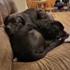 heatherthibodeau81 - @heatherthibodeau81 - TikTok