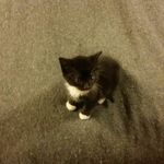 Heather Thorburn Tierney - @h.tierney - Instagram