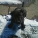 Heather Tierney - Facebook