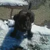 heathertierney241 - @heathertierney241 - TikTok