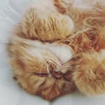heather till - @tillybobs67 - Instagram