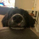 Heather Toner - @heather.toner.925 - Instagram